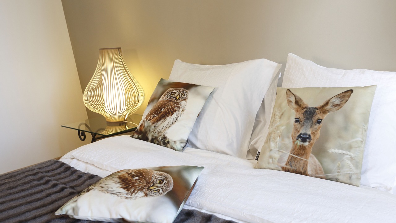 Photo of Bedroom in Chinon