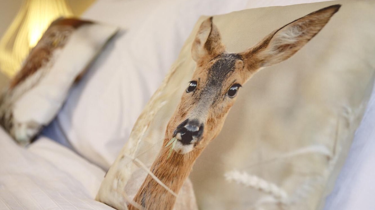 Photo of Bedroom in Chinon