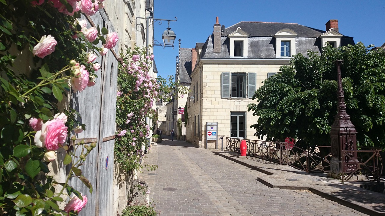Photo of Outdoor in Chinon