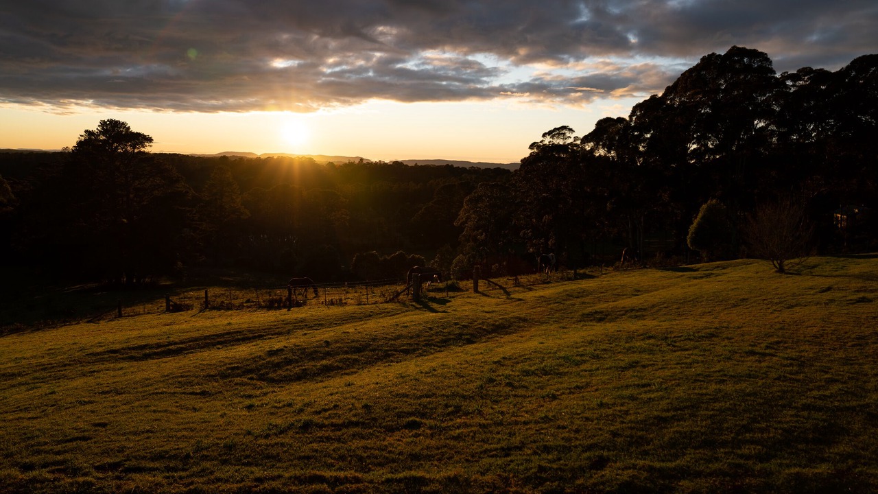 Photo of Others in Berambing