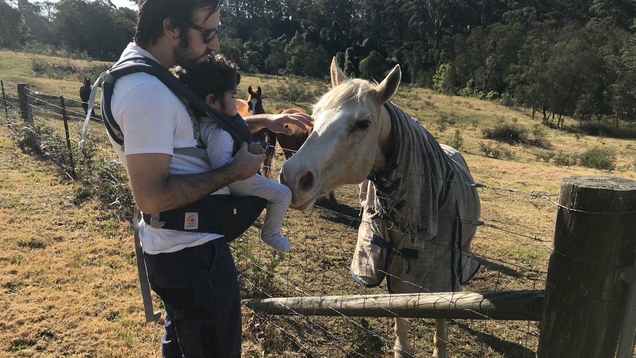 Photo of Others in Berambing