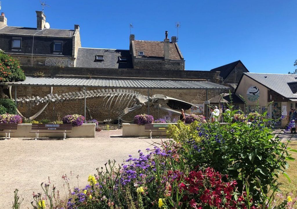 Photo of Outdoor in Luc-sur-Mer