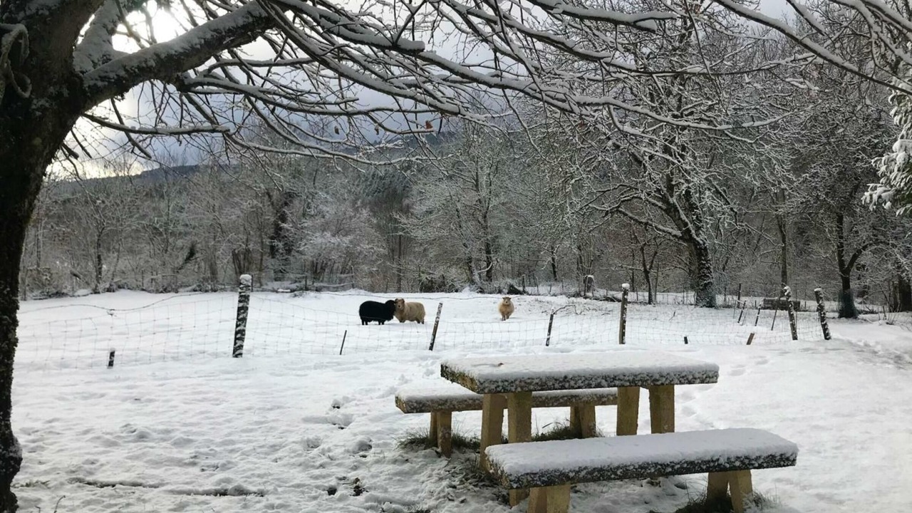 Photo of Others in Saint-Priest-la-Prugne