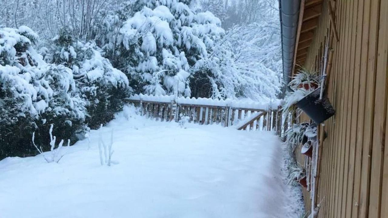 Photo of Outdoor in Saint-Priest-la-Prugne