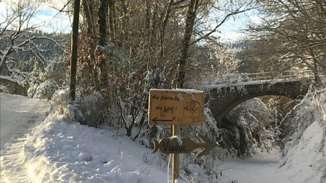 Photo of Outdoor in Saint-Priest-la-Prugne