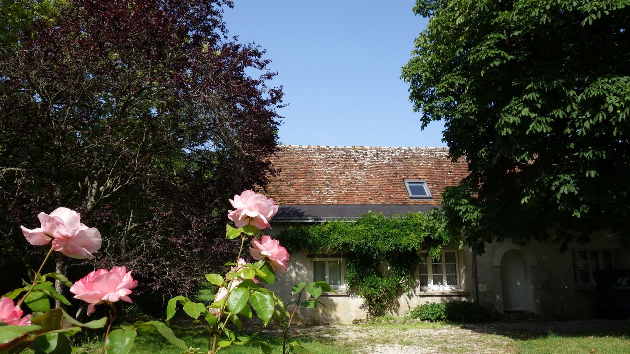 Photo of Outdoor in Savonnieres