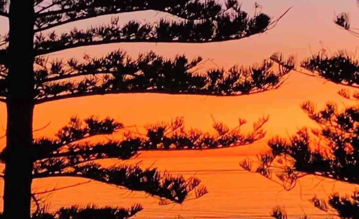 Photo of Others in Semaphore