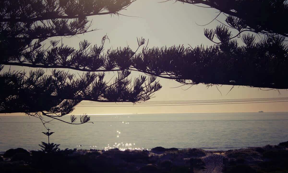 Photo of Others in Semaphore