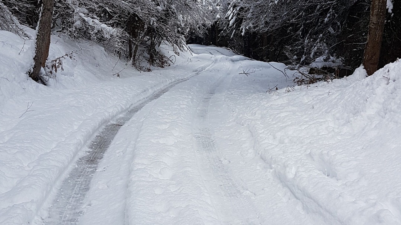 Photo of Outdoor in Borderes-Louron