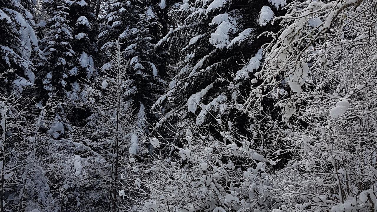 Photo of Outdoor in Borderes-Louron