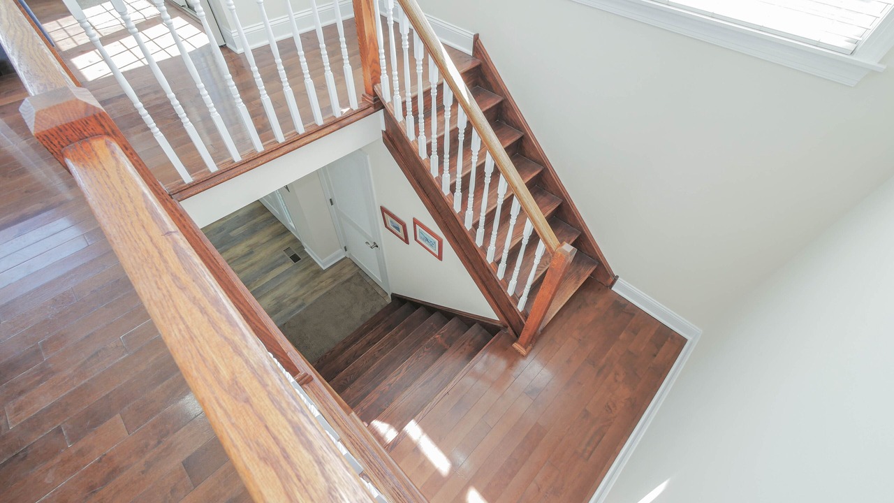 Photo of Others in Avalon