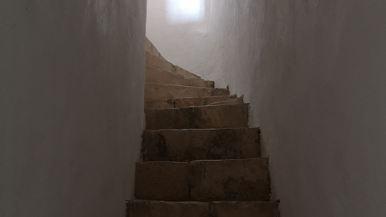 Photo of Others in Venejan