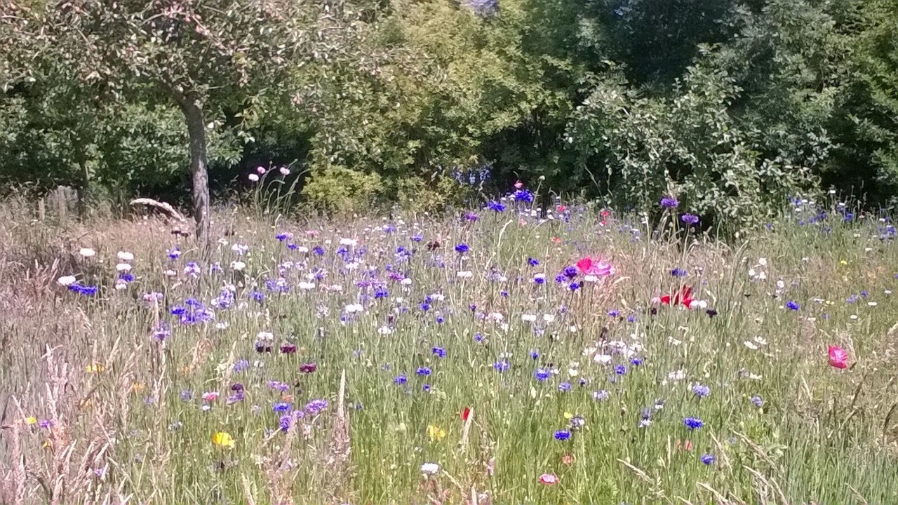 Photo of Outdoor in Bordeaux-Saint-Clair