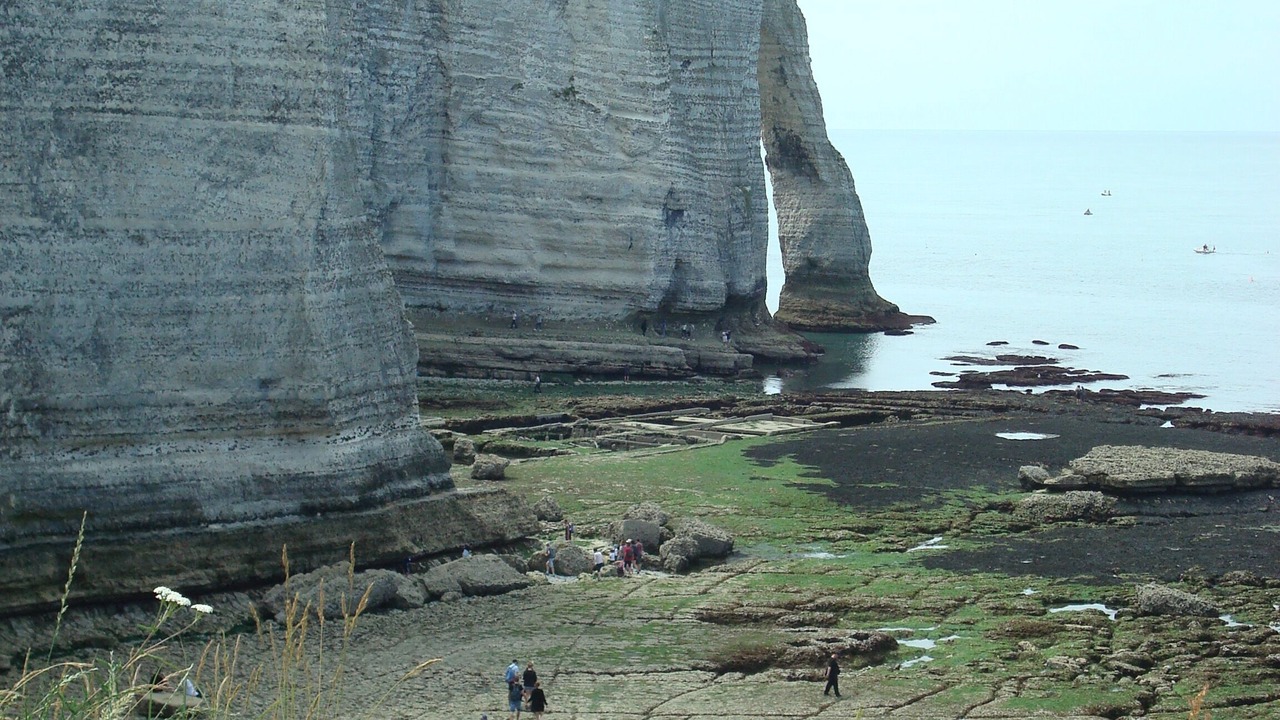 Photo of Others in Bordeaux-Saint-Clair