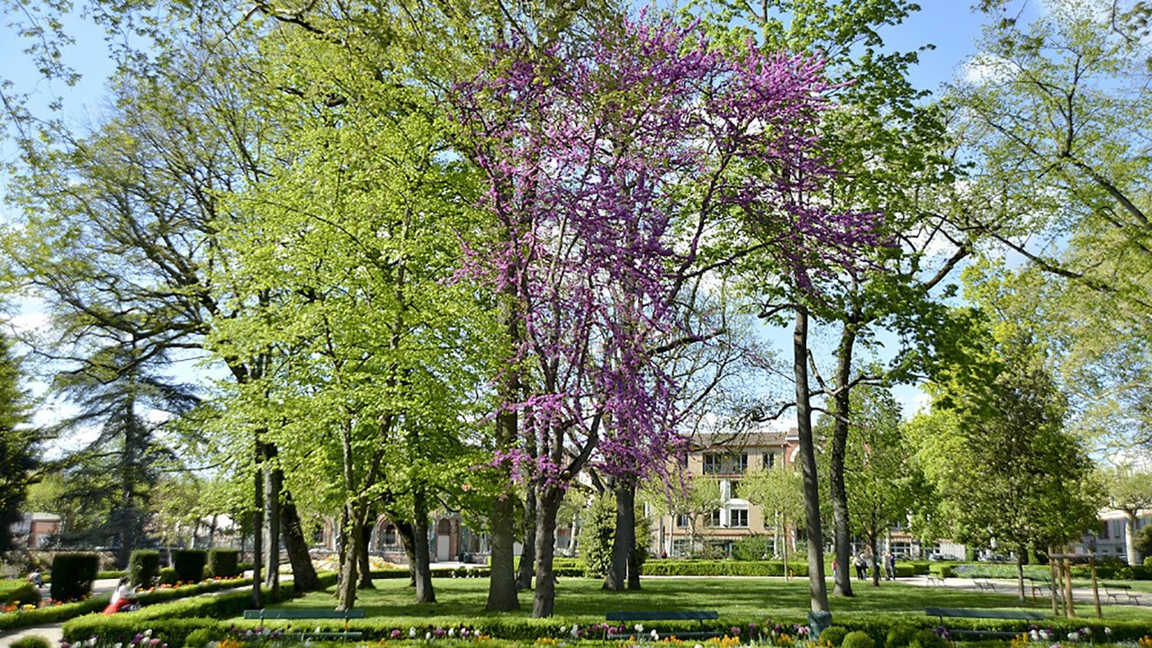 Photo of Outdoor in Albi
