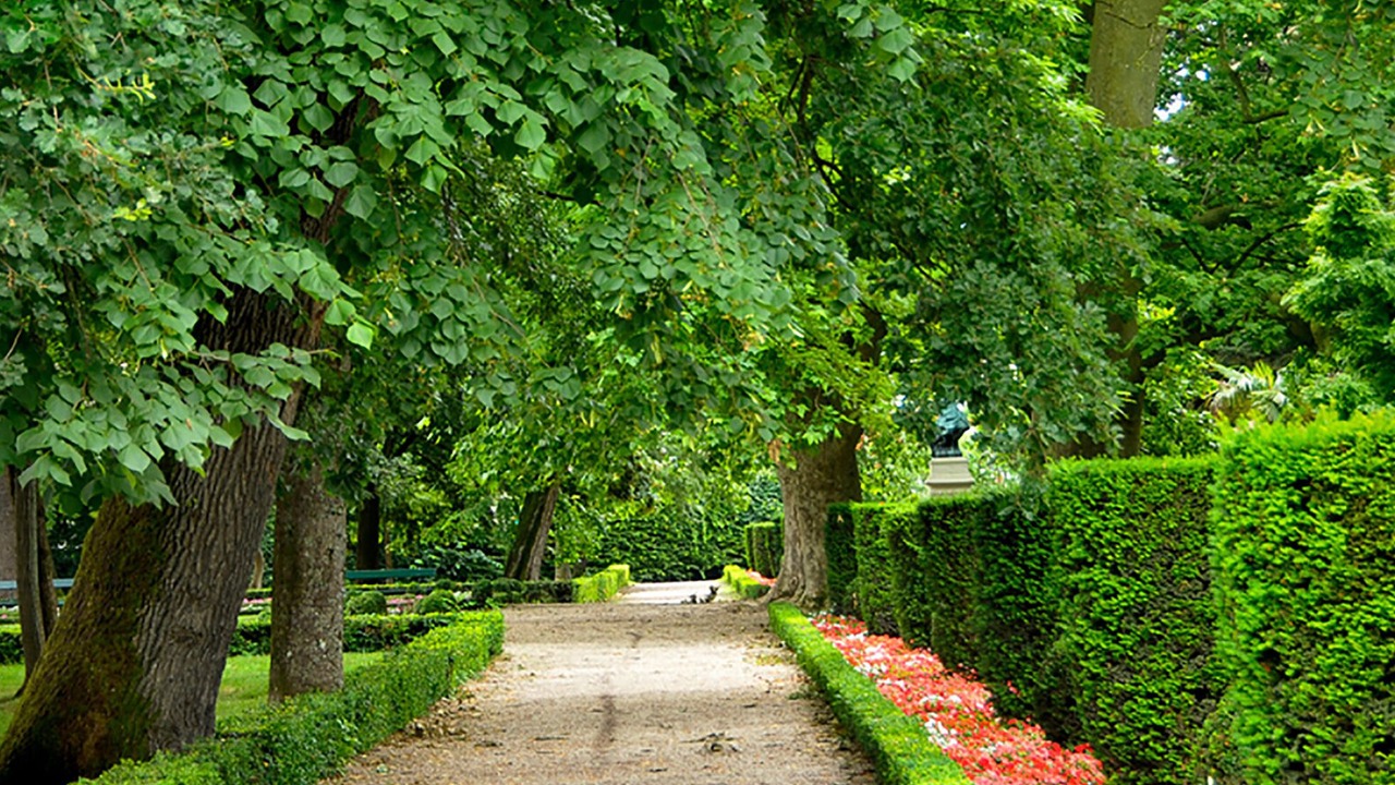 Photo of Outdoor in Albi