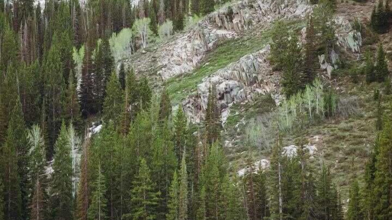 Photo of Others in Salt Lake Mountain Resorts