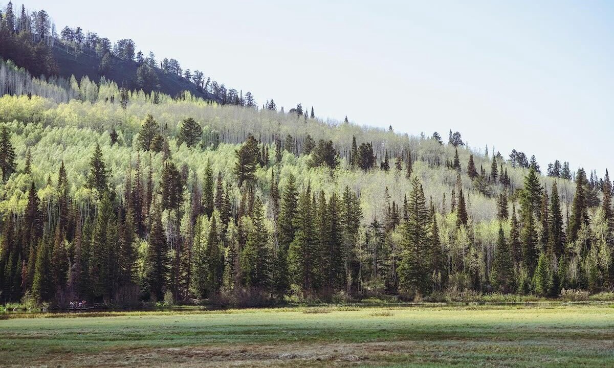 Photo of Others in Salt Lake Mountain Resorts