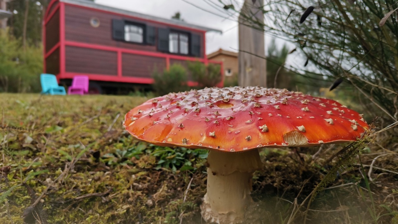 Photo of Outdoor in Usson-en-Forez