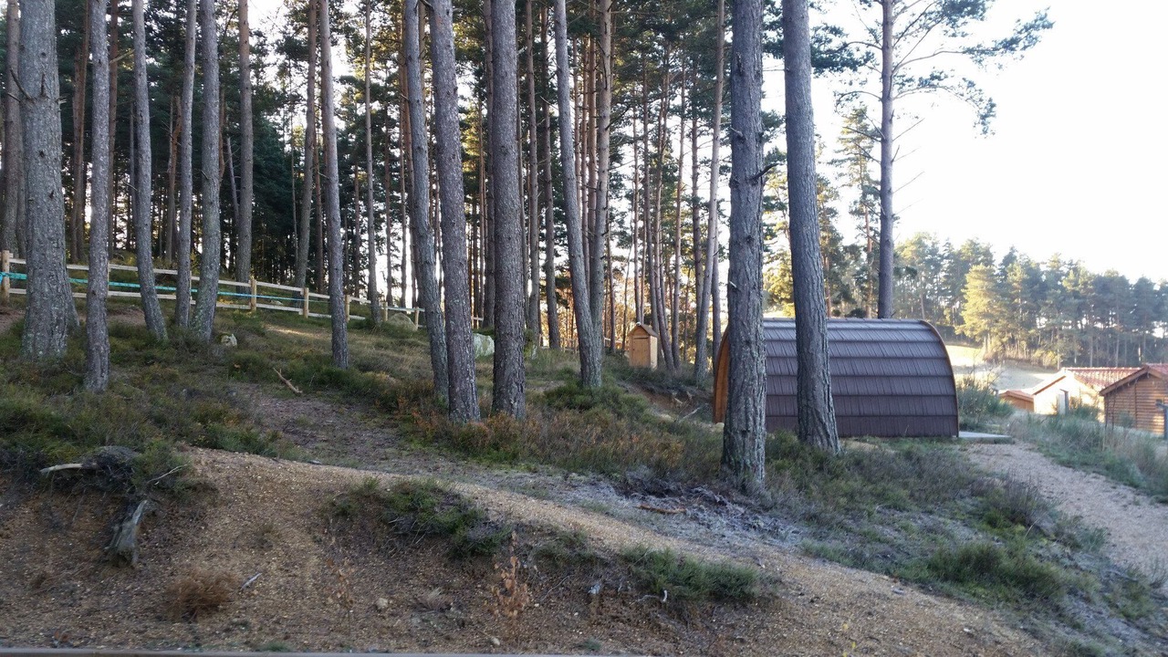 Photo of Outdoor in Usson-en-Forez