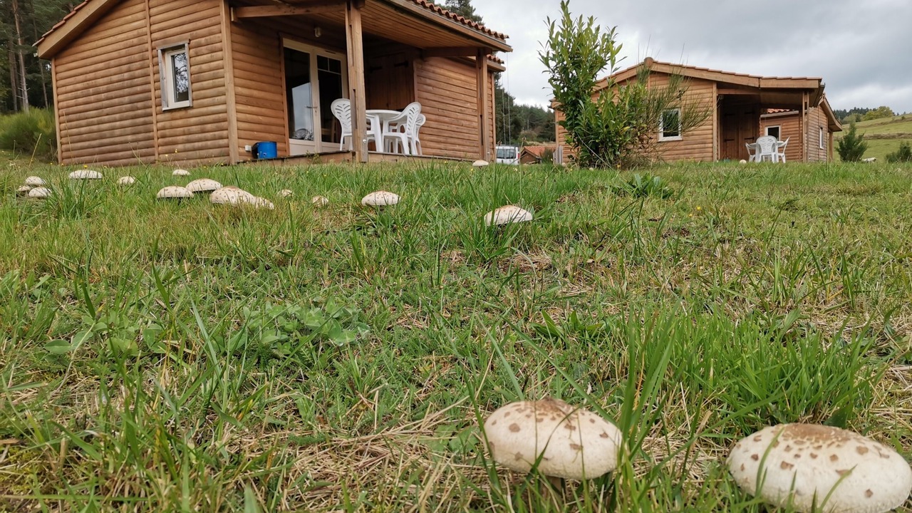 Photo of Outdoor in Usson-en-Forez
