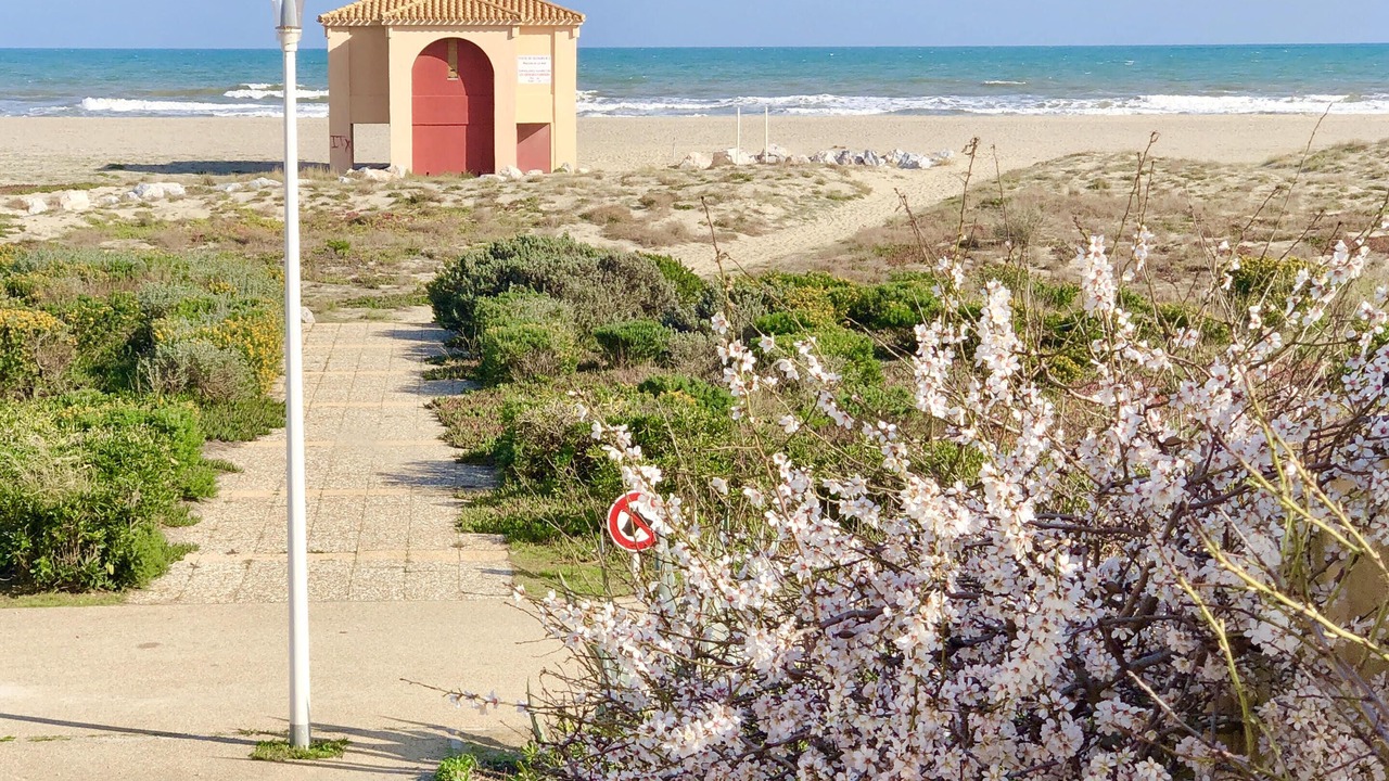 Photo of Others in Port Leucate