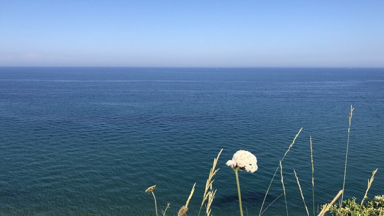 Photo of Others in Port Leucate