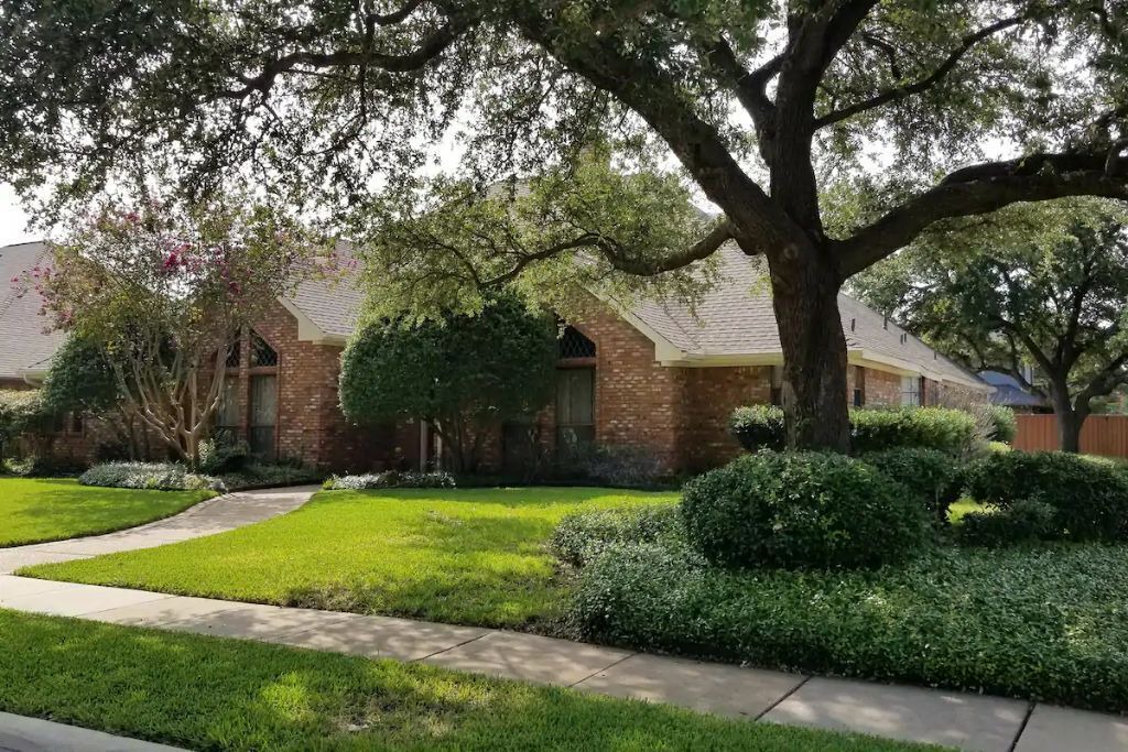 Photo of Outdoor in Plano