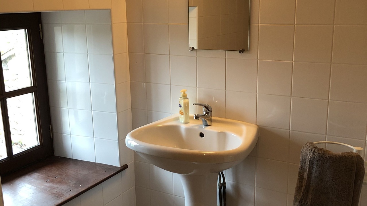 Photo of Bathroom in Oradour-Fanais