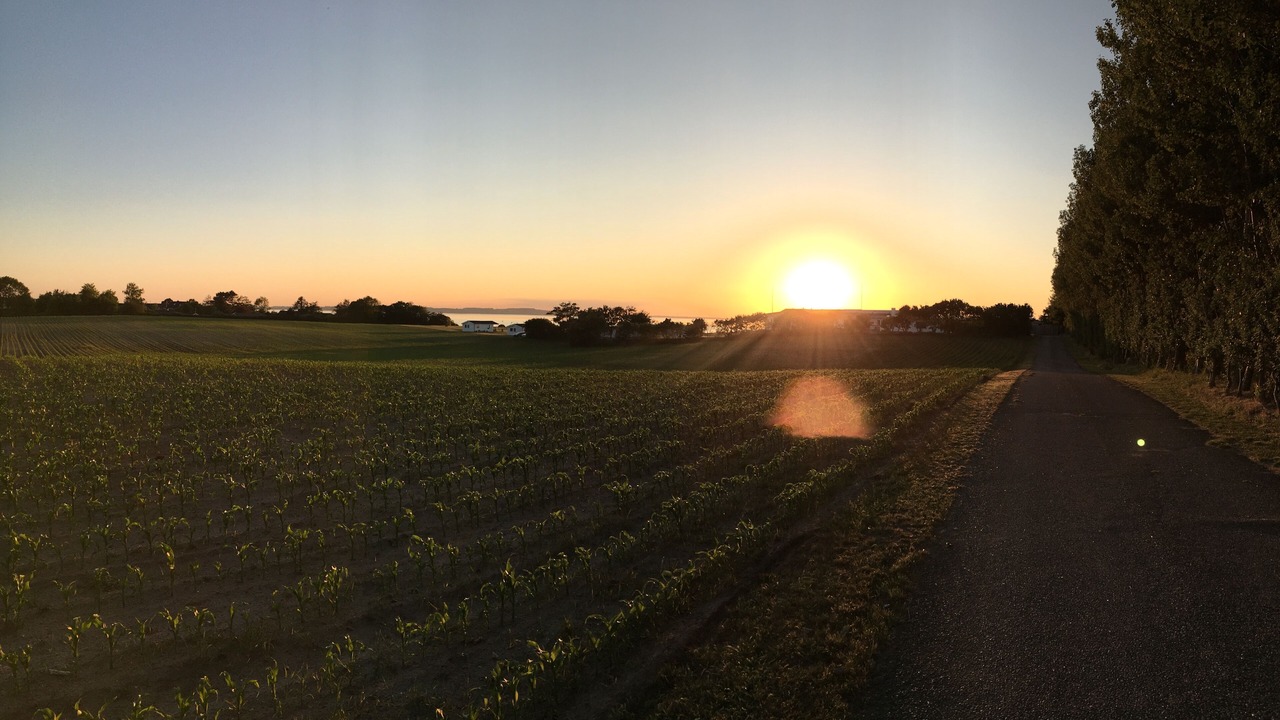 Photo of Others in Middelfart