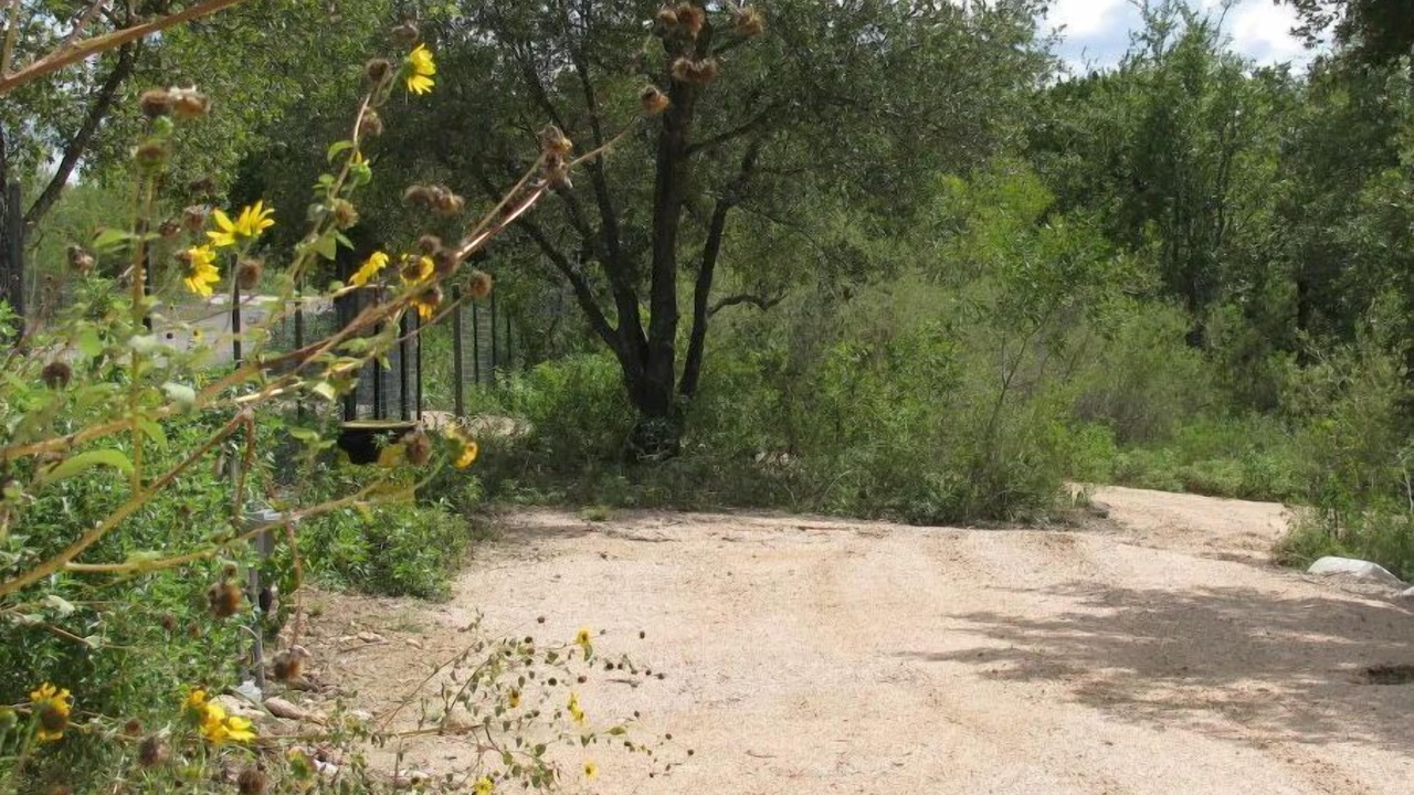 Photo of Others in Marble Falls