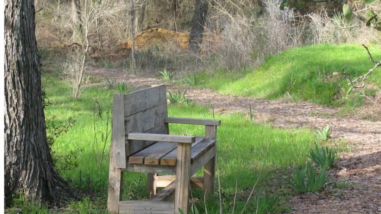 Photo of Others in Marble Falls