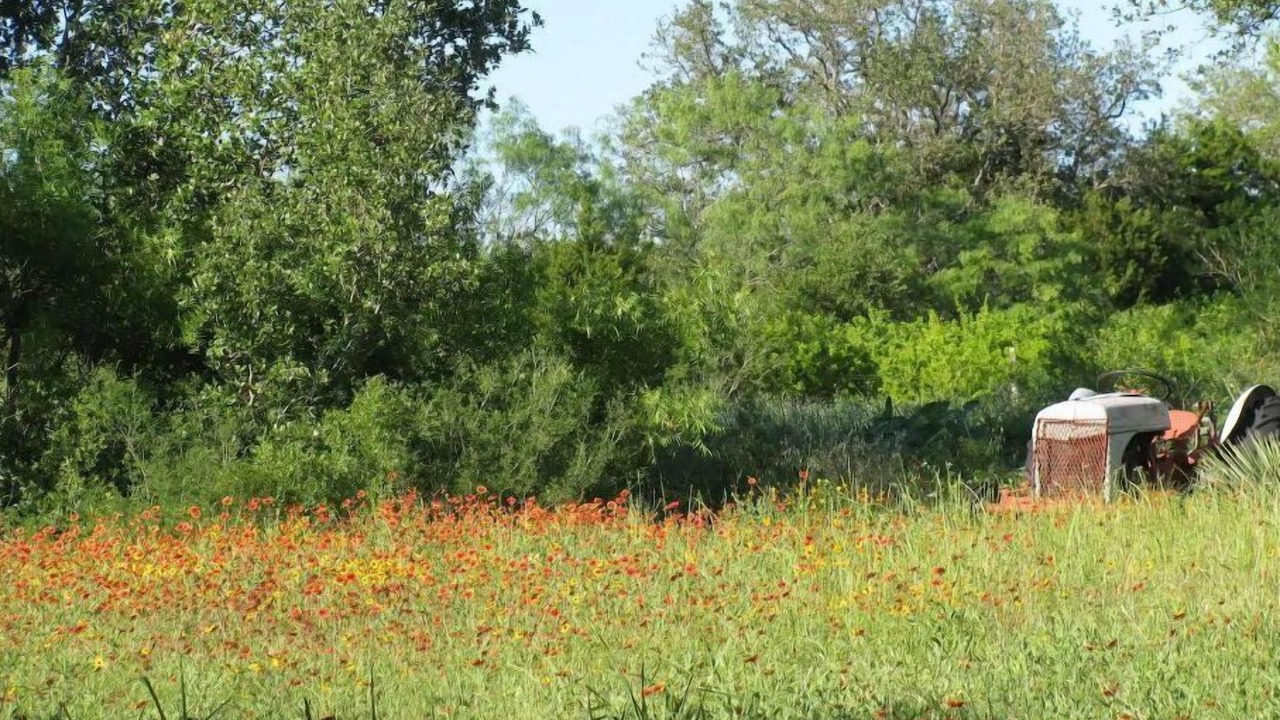 Photo of Others in Marble Falls