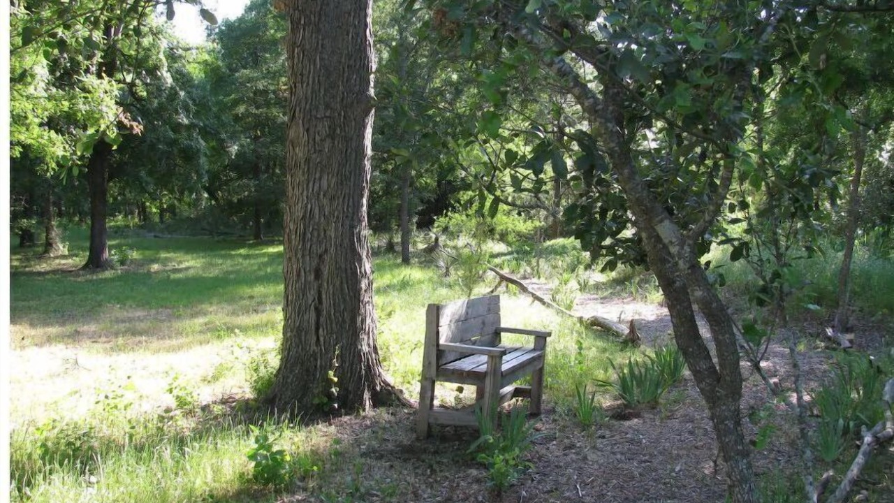 Photo of Others in Marble Falls