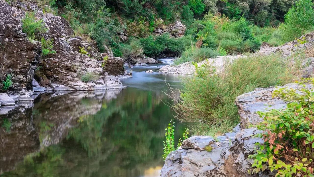 Photo of Others in Pont d'Herault