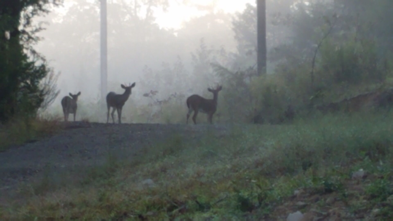 Photo of Others in Smithville