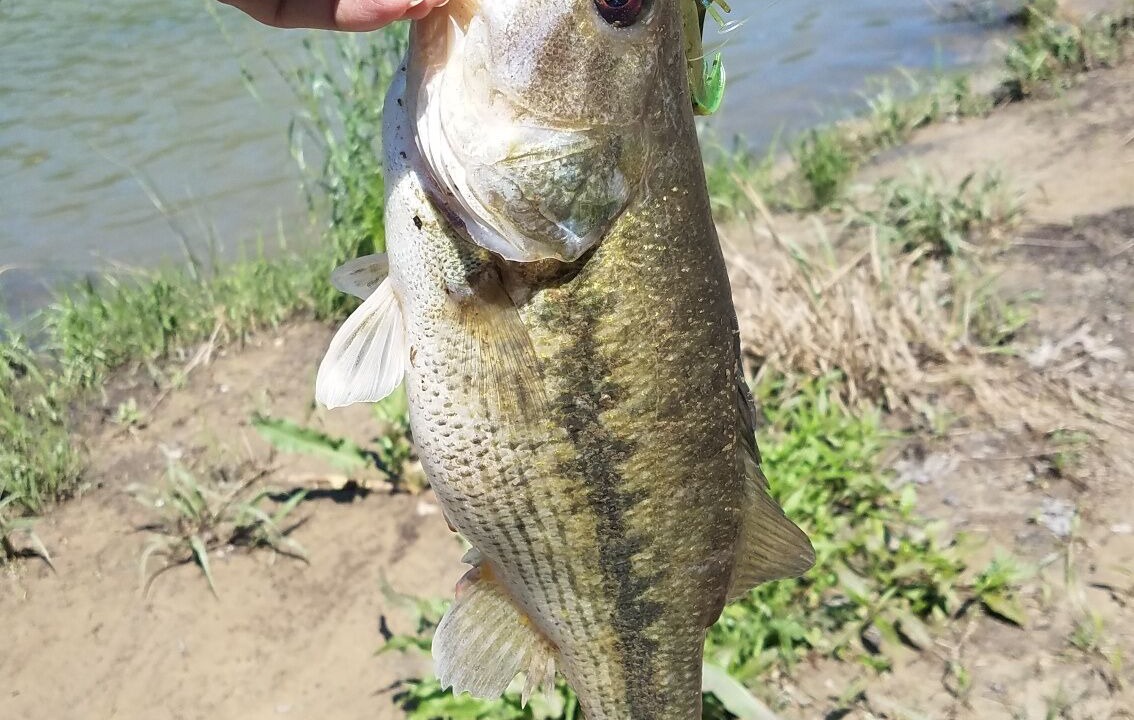 Photo of Others in Smithville