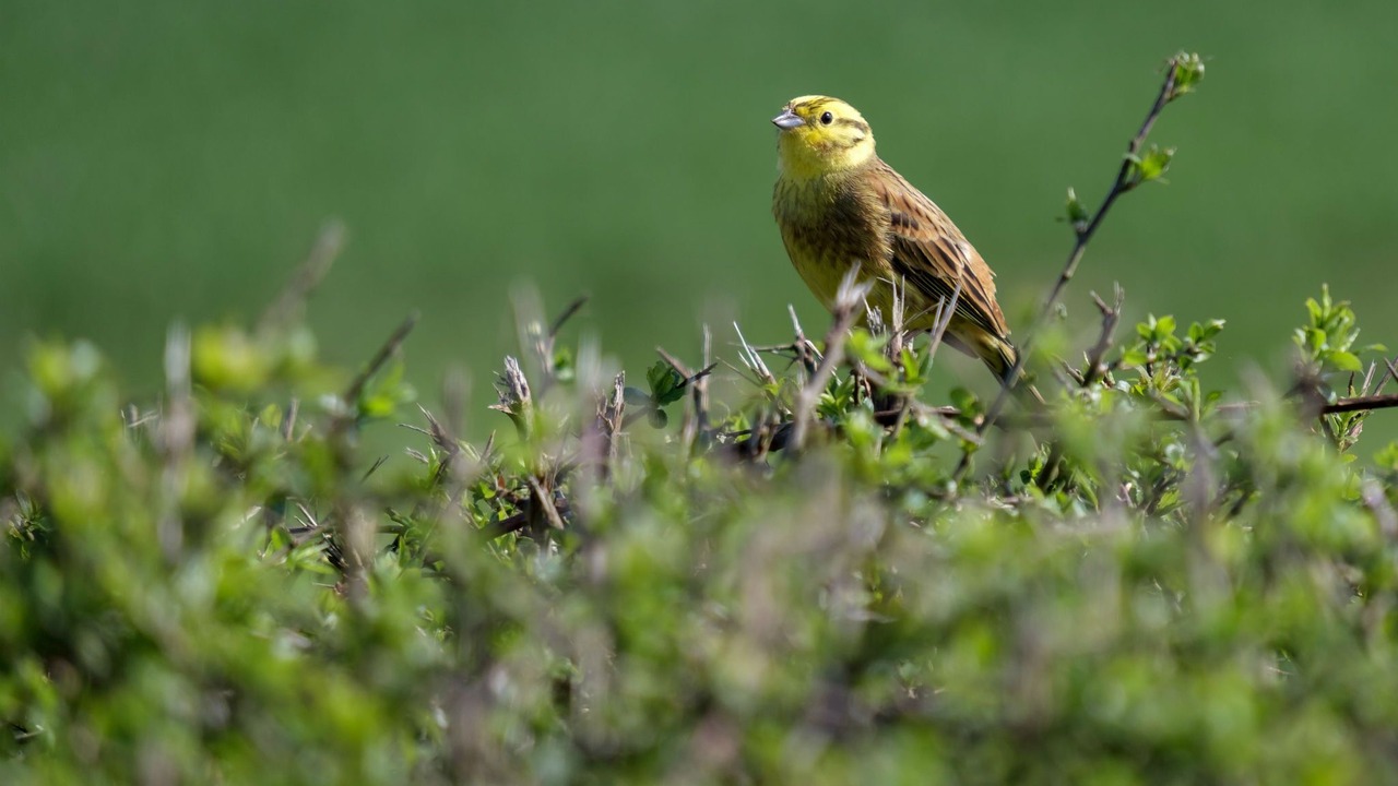 Photo of Outdoor in Little Stukeley
