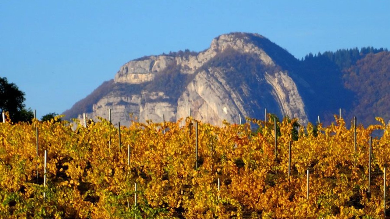 Photo of Others in Saint-Maximin