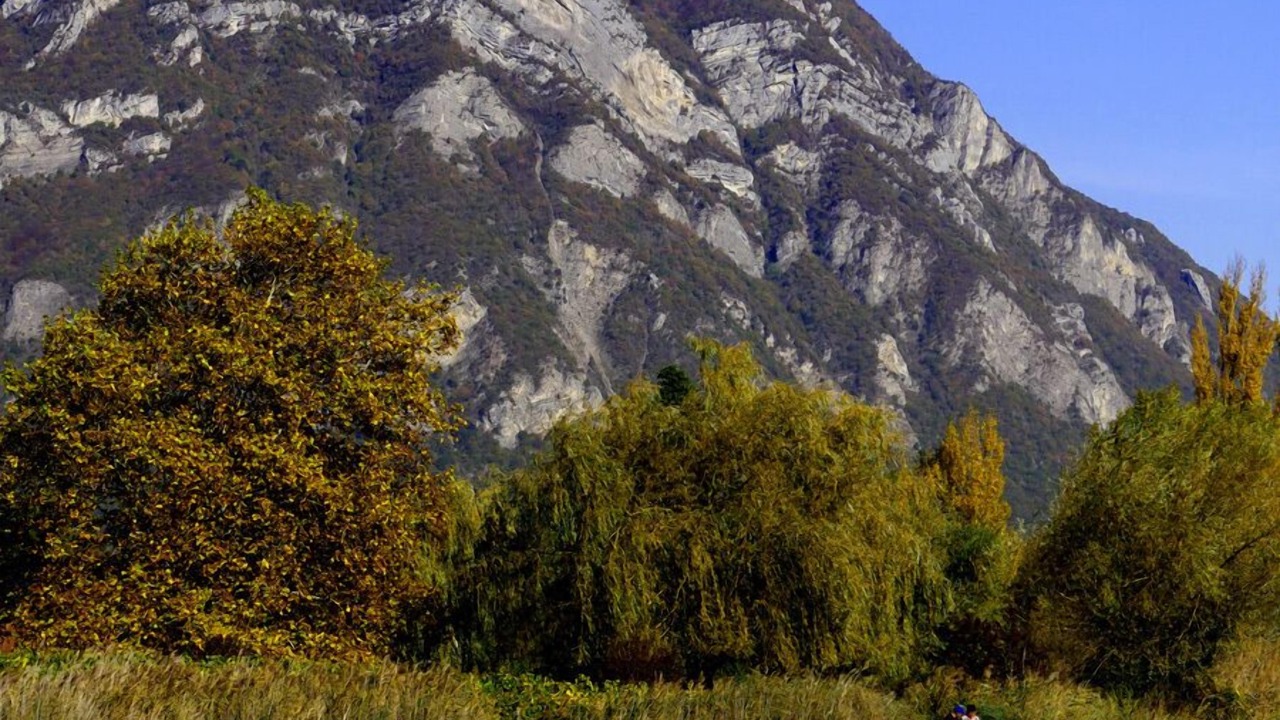 Photo of Outdoor in Saint-Maximin