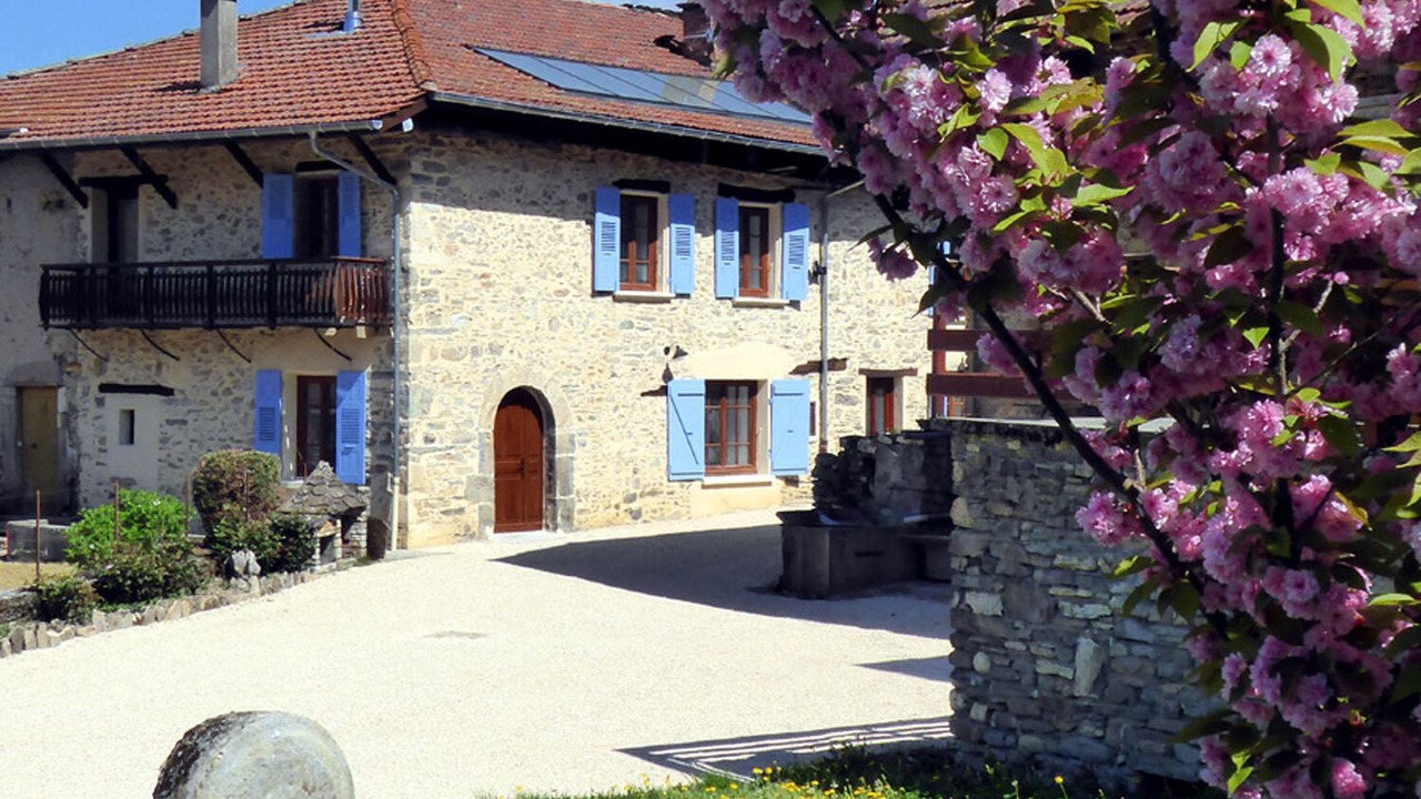 Photo of Outdoor in Saint-Maximin