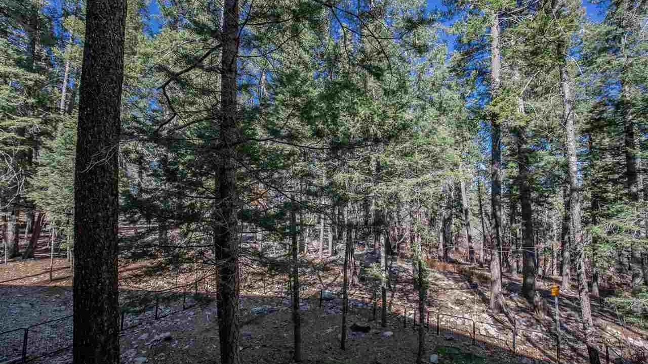 Photo of Outdoor in Cloudcroft