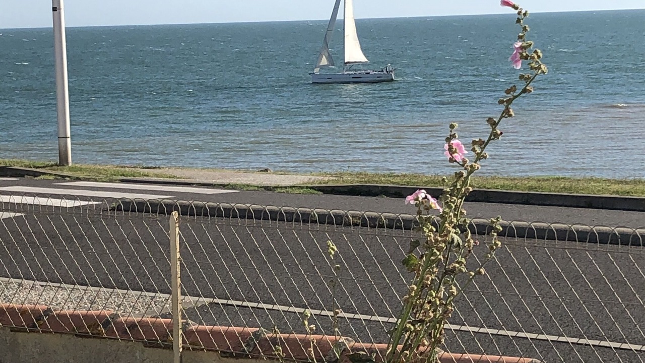 Photo of Outdoor in Vaux-sur-Mer