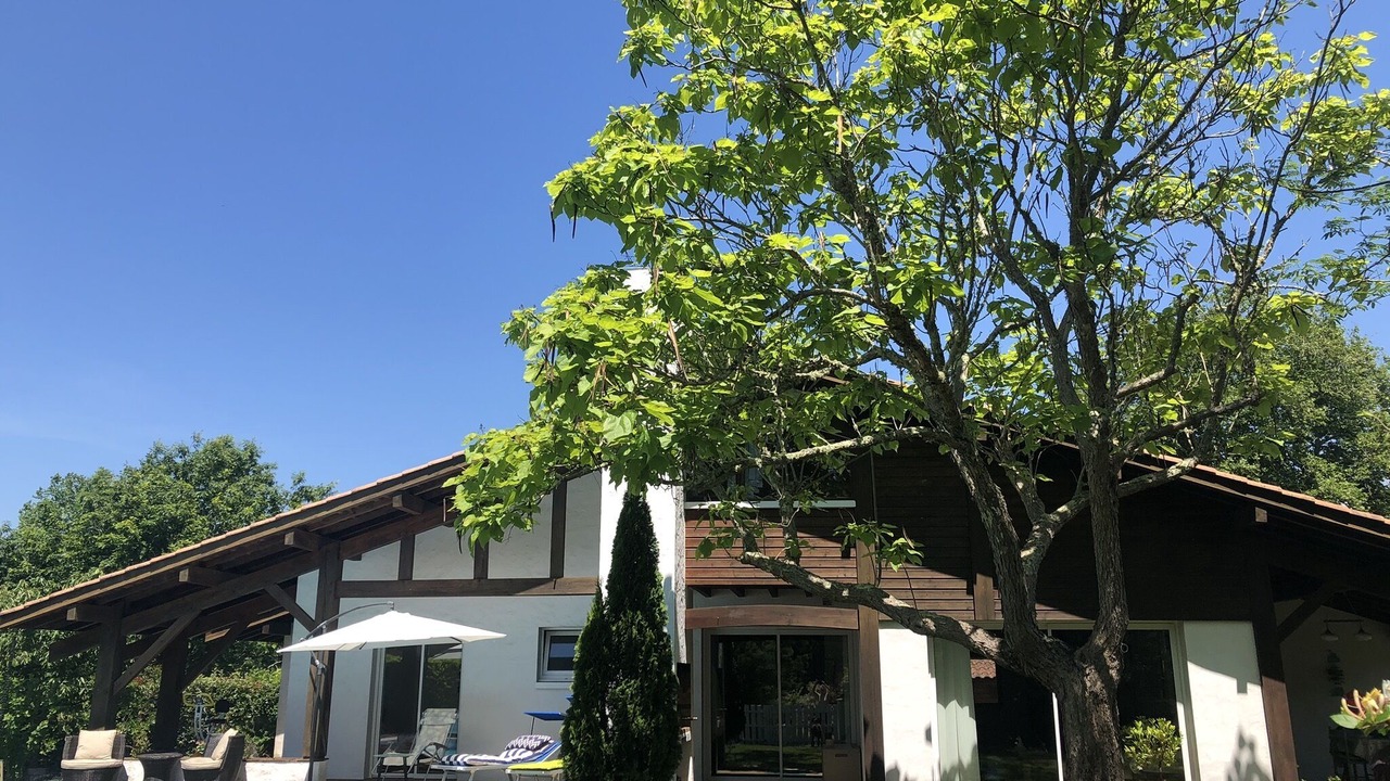 Photo of Outdoor in Mezos