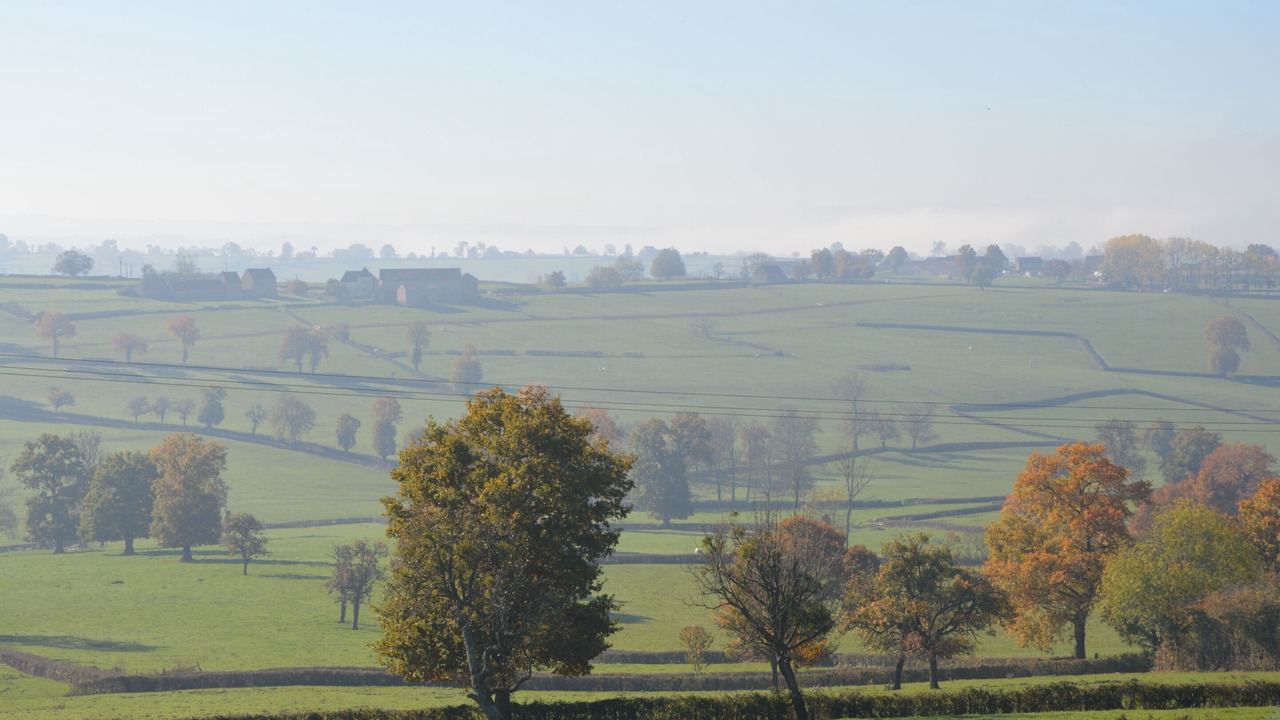 Photo of Others in Bois-Sainte-Marie