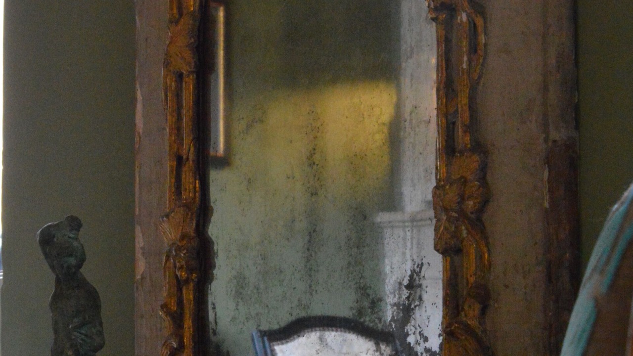 Photo of Others in Bois-Sainte-Marie