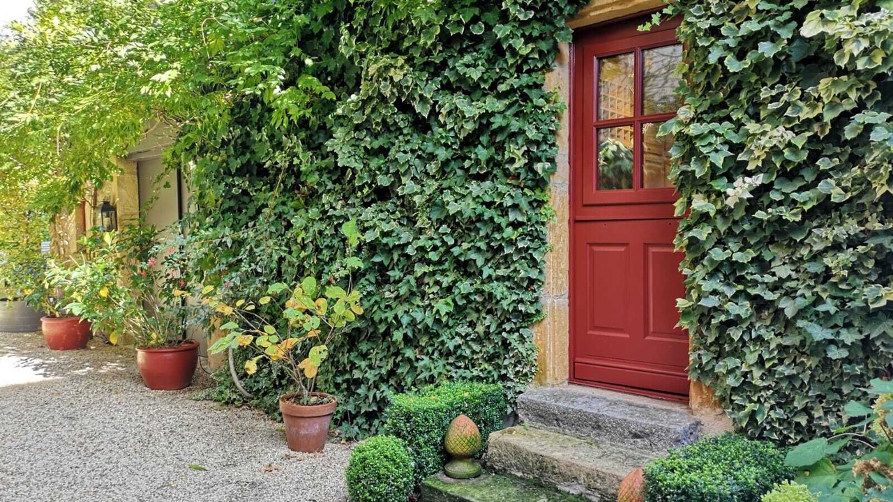 Photo of Others in Bois-Sainte-Marie