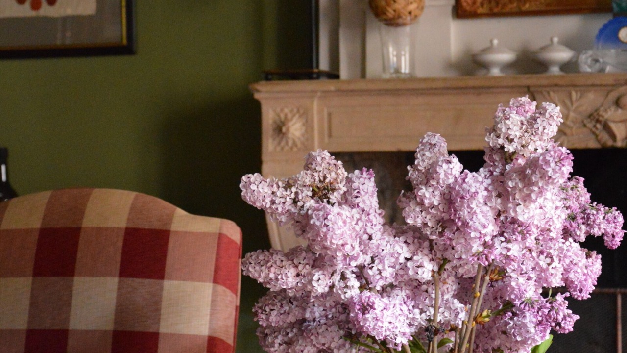 Photo of Others in Bois-Sainte-Marie