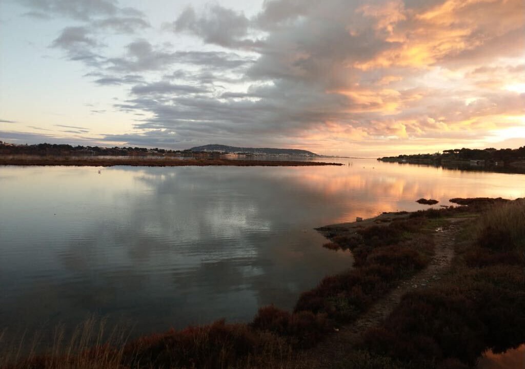 Photo of Others in Bouzigues
