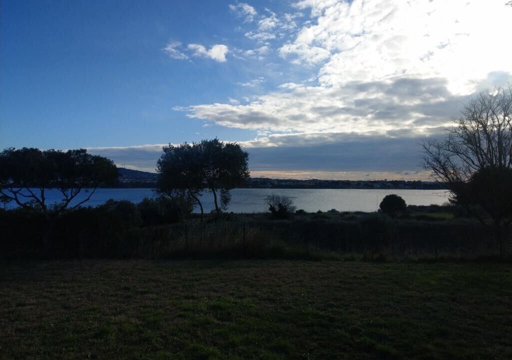 Photo of Others in Bouzigues